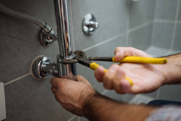 Best Plumbing System Maintenance  in St Johns, MI