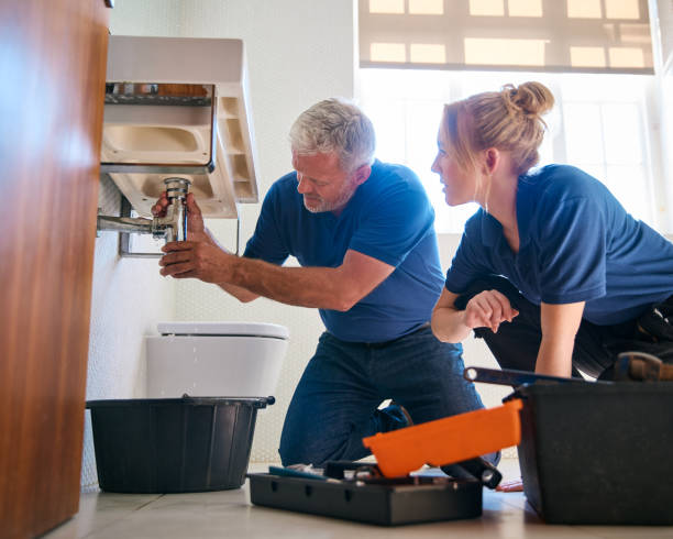  St Johns, MI Plumbing Services Pros